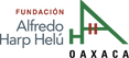 LogoFAHHO+(3).png