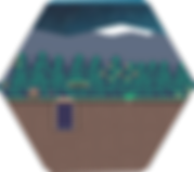 Polygon 14.png